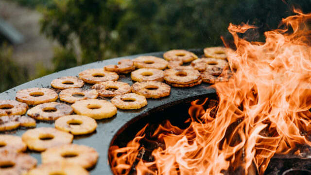 Cardinal-21-05-23-207-scaled