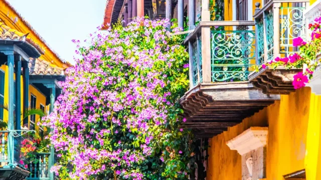 cartagena-colorful-houses