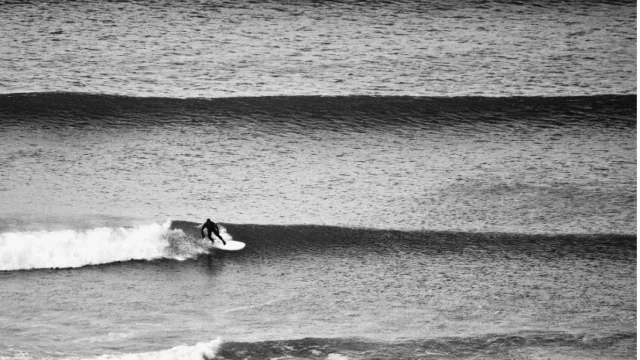 pexels-sally-mitchell-4756436—small